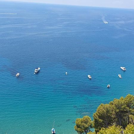 Tenuta Belvedere Cilento モンテコーリチェ エクステリア 写真