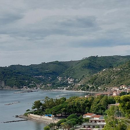 Tenuta Belvedere Cilento モンテコーリチェ エクステリア 写真