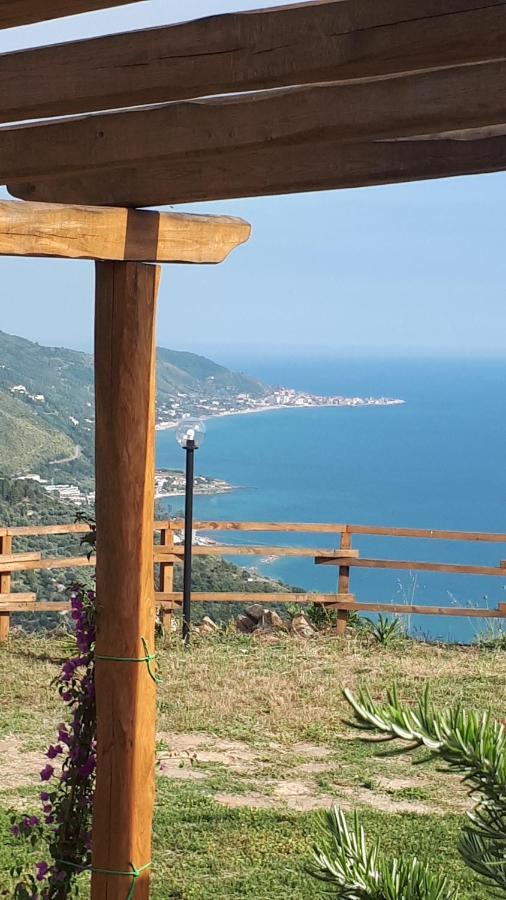 Tenuta Belvedere Cilento モンテコーリチェ エクステリア 写真