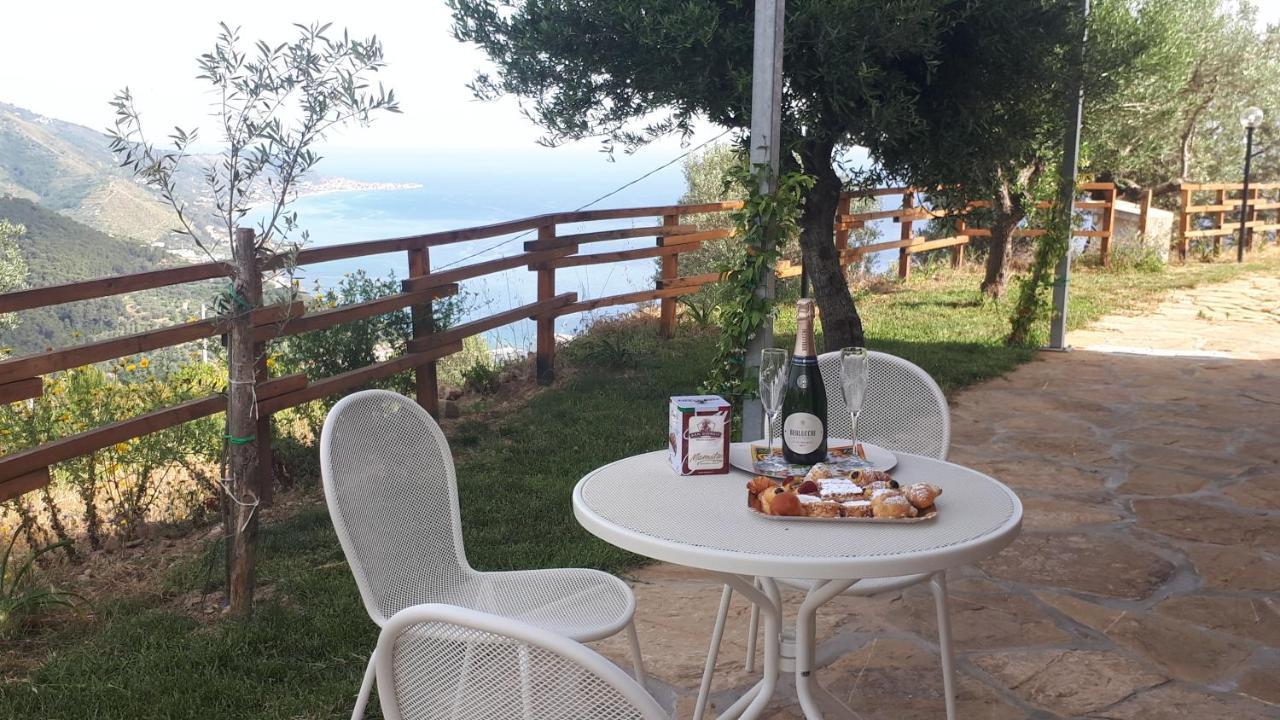 Tenuta Belvedere Cilento モンテコーリチェ エクステリア 写真