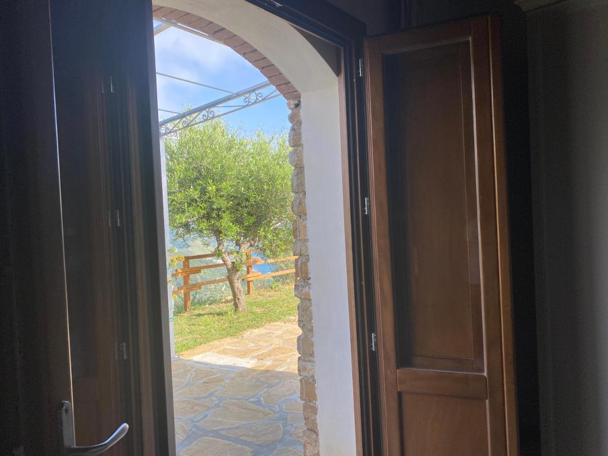 Tenuta Belvedere Cilento モンテコーリチェ エクステリア 写真
