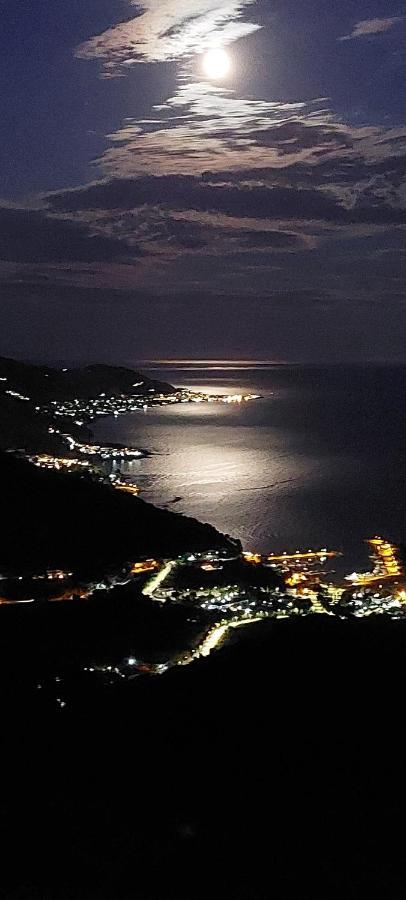 Tenuta Belvedere Cilento モンテコーリチェ エクステリア 写真