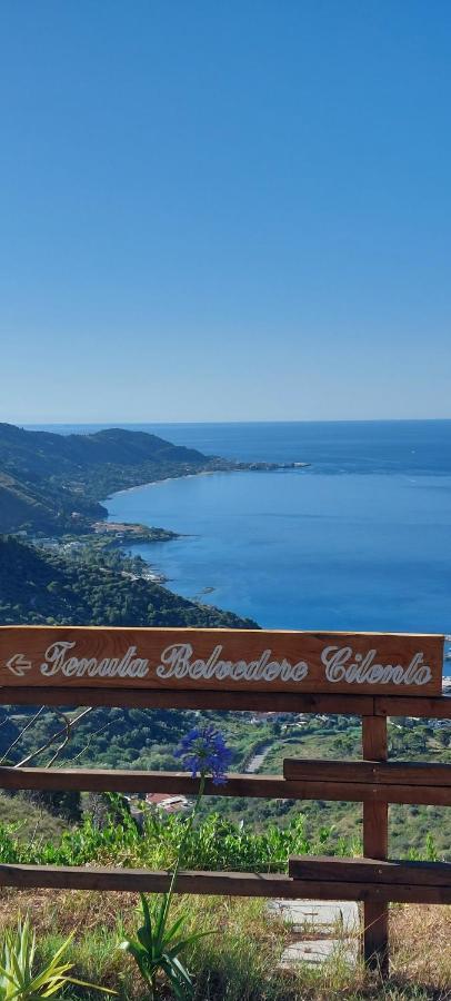 Tenuta Belvedere Cilento モンテコーリチェ エクステリア 写真