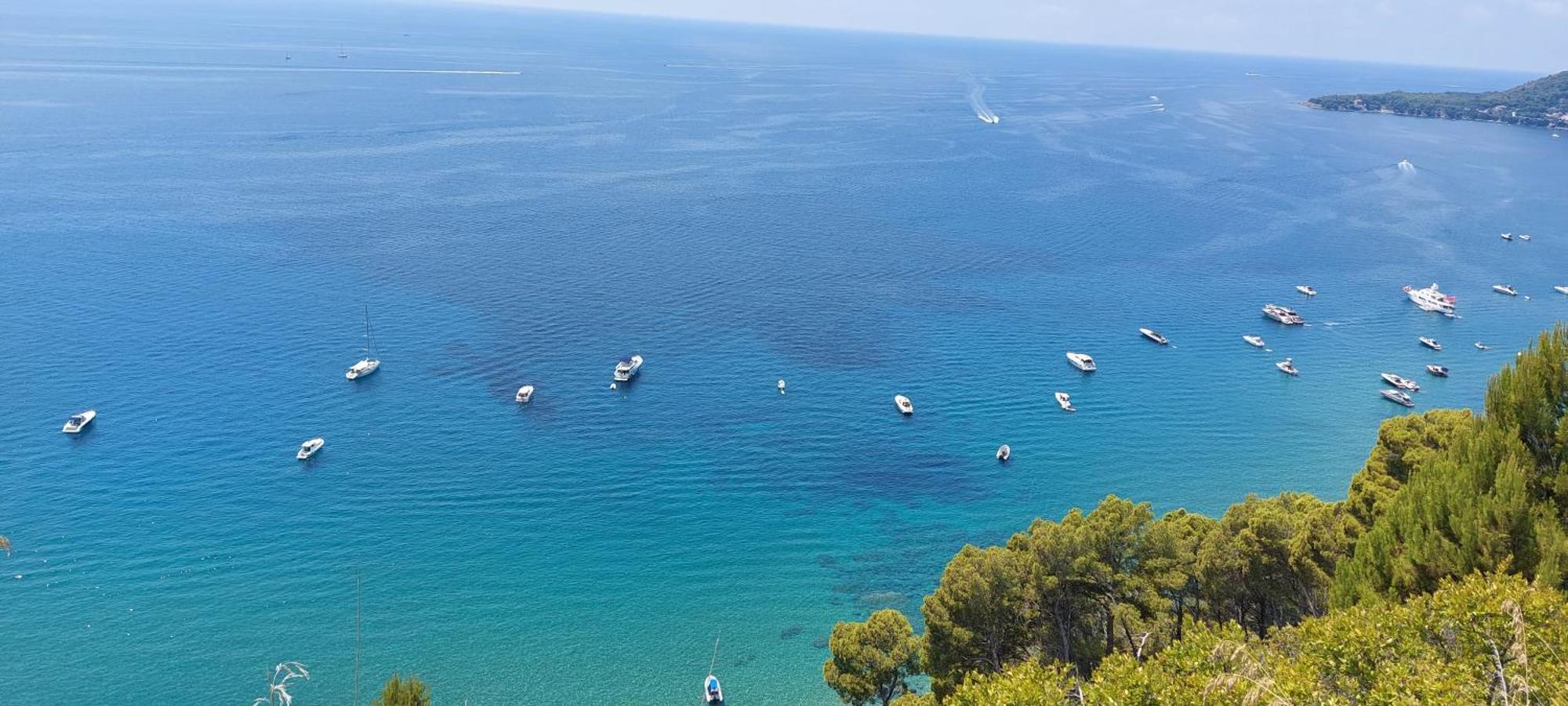 Tenuta Belvedere Cilento モンテコーリチェ エクステリア 写真