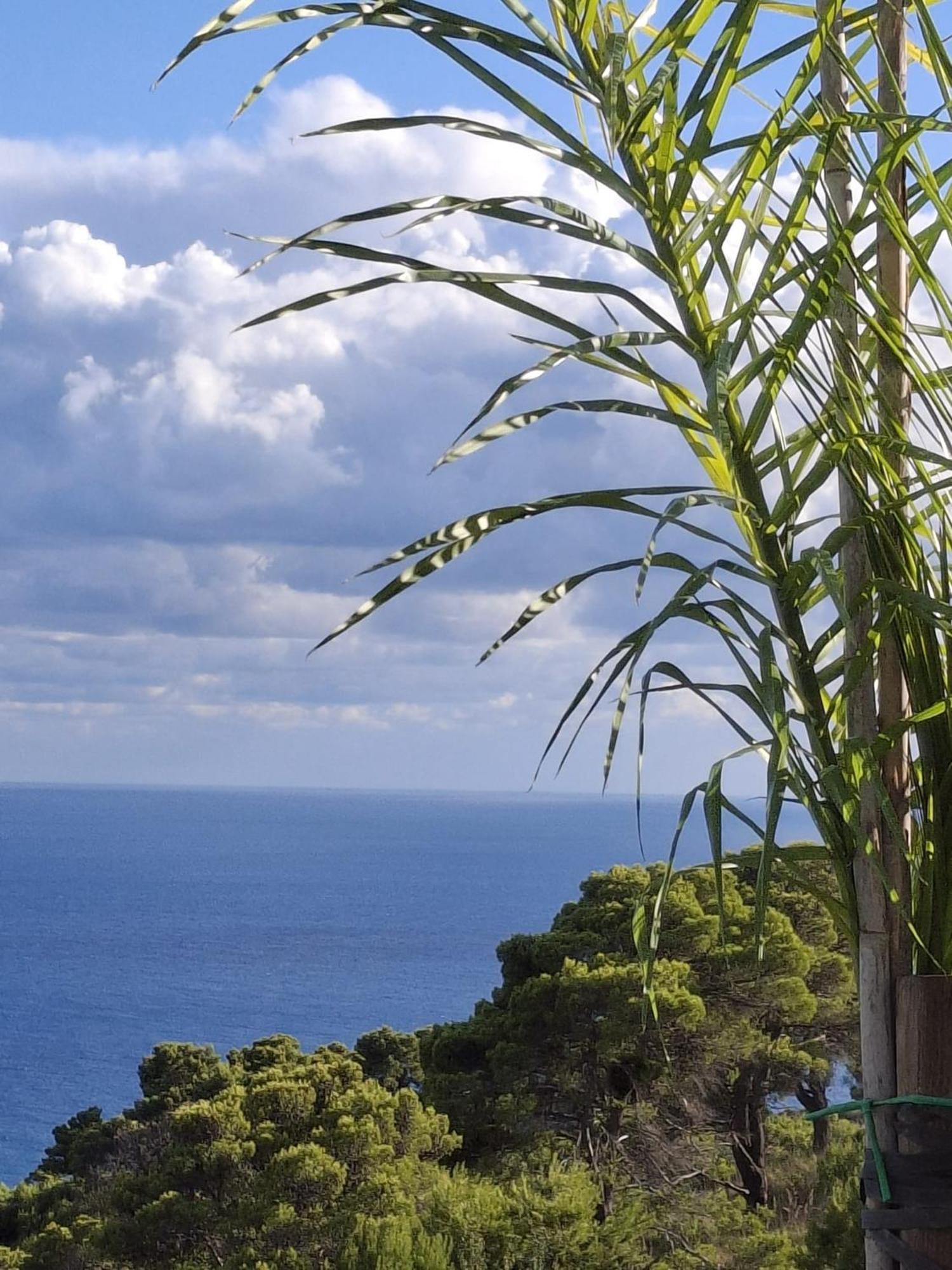 Tenuta Belvedere Cilento モンテコーリチェ エクステリア 写真